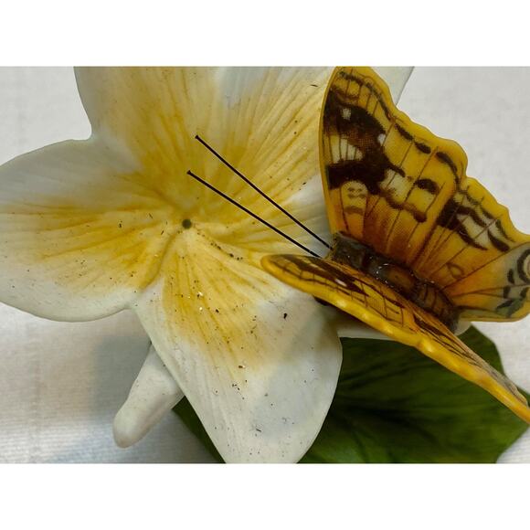 Franklin Mint Butterflies of Paradise Porcelain Figurine Swordtail Tortoiseshel - Picture 9 of 11